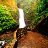 Doka Coﬀe Tour & La Paz Waterfall Gardens