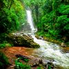 Doka Coﬀe Tour & La Paz Waterfall Gardens