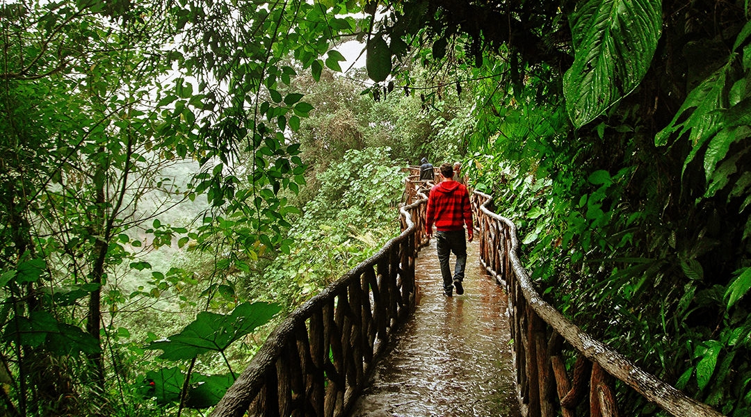 La Paz Waterfall Gardens Vive Travels Costa Rica Vive Travels